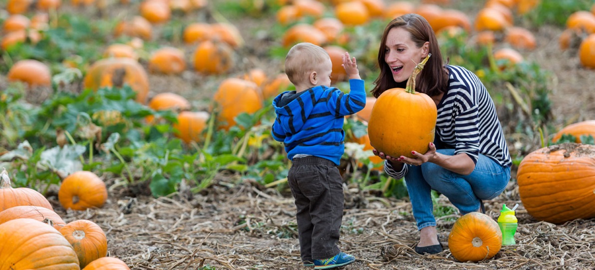 mother and son picking pumpkin