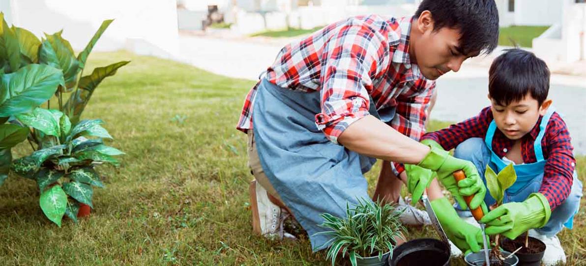 Father-and-son-gardening
