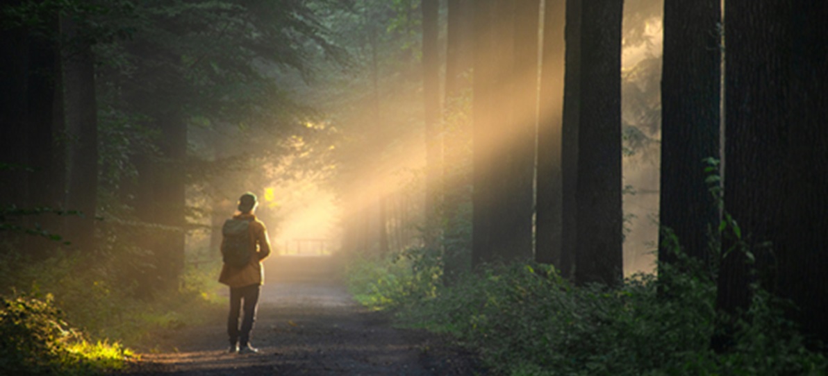 person walking in nature